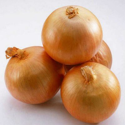 t04594caaa539f9be12 t04594caaa539f9be12