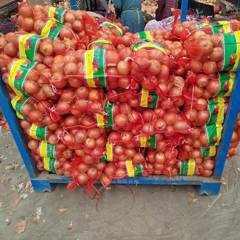 202410250941433 202410250941433