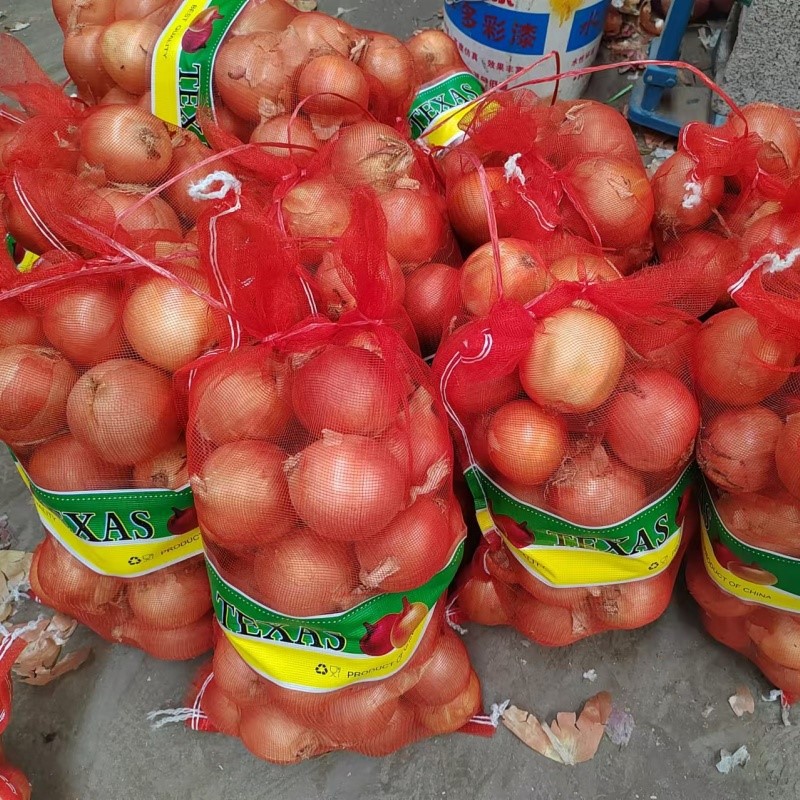 202410250901291 202410250901291