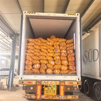 80g Mesh Bag Cold Room Potato